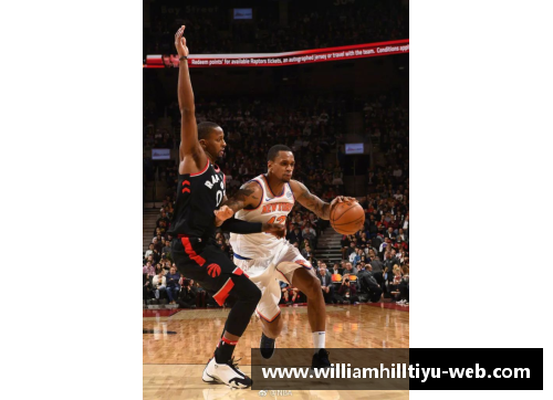 NBA镜框：篮球文化的永恒追溯