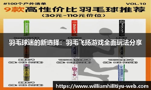 羽毛球迷的新选择：羽毛飞扬游戏全面玩法分享